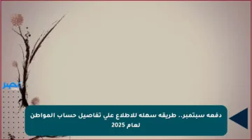 دفعة سبتمبر.. طريقة سهلة للاطلاع على تفاصيل حساب المواطن لعام 2025